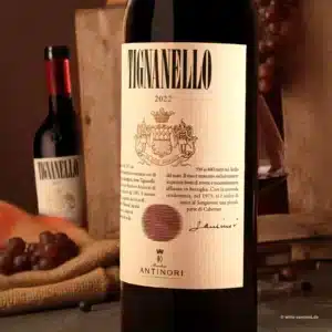 Tignanello 2022
